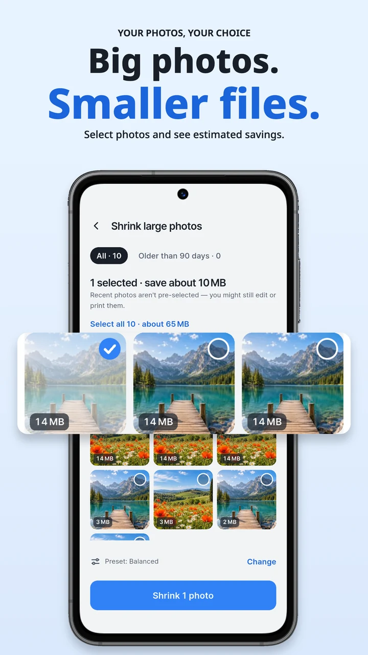 Choose which large photos to shrink